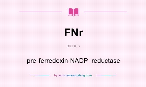 What does FNr mean? It stands for pre-ferredoxin-NADP  reductase