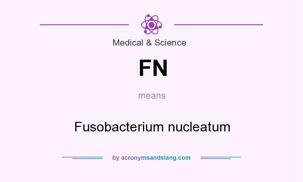 What does FN mean? It stands for Fusobacterium nucleatum