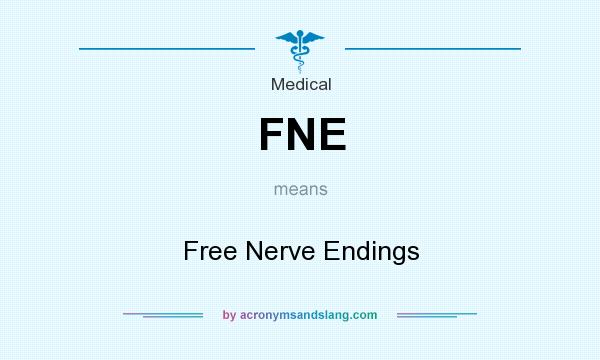 What does FNE mean? It stands for Free Nerve Endings