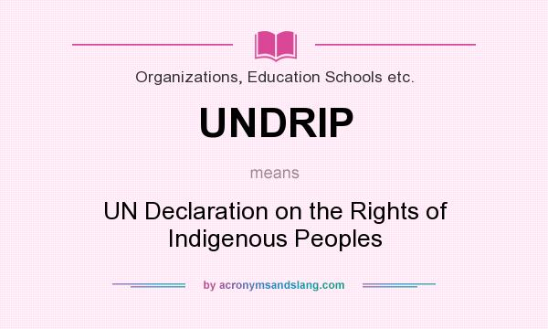 What does UNDRIP mean? It stands for UN Declaration on the Rights of Indigenous Peoples