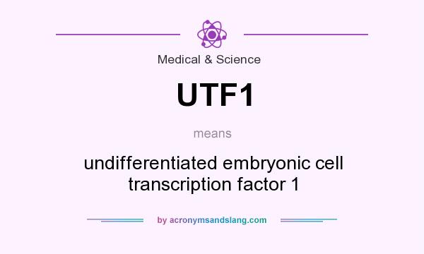 What does UTF1 mean? It stands for undifferentiated embryonic cell transcription factor 1