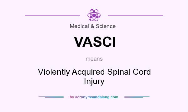 What does VASCI mean? It stands for Violently Acquired Spinal Cord Injury