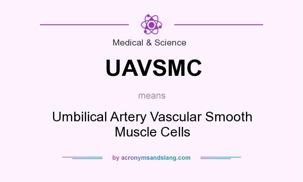 What does UAVSMC mean? It stands for Umbilical Artery Vascular Smooth Muscle Cells