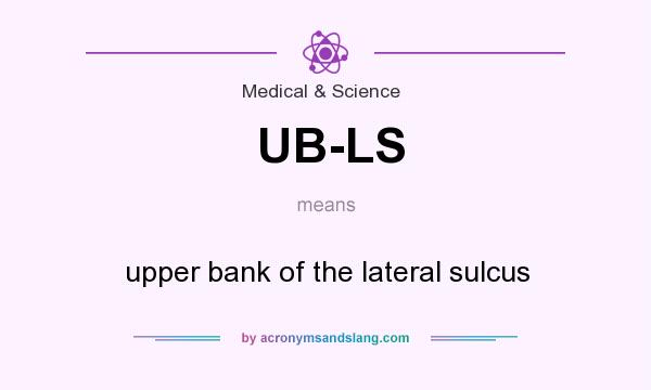 What does UB-LS mean? It stands for upper bank of the lateral sulcus
