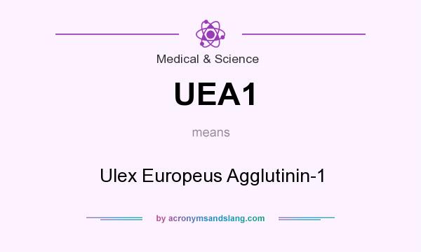 What does UEA1 mean? It stands for Ulex Europeus Agglutinin-1