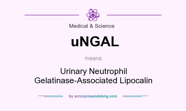 What does uNGAL mean? It stands for Urinary Neutrophil Gelatinase-Associated Lipocalin