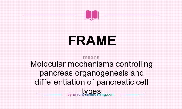 What does FRAME mean? It stands for Molecular mechanisms controlling pancreas organogenesis and differentiation of pancreatic cell types