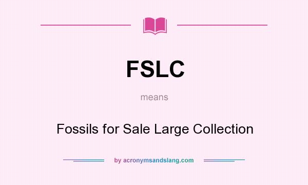What does FSLC mean? It stands for Fossils for Sale Large Collection