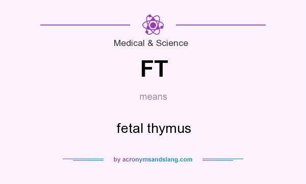 What does FT mean? It stands for fetal thymus