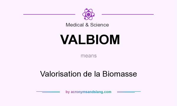 What does VALBIOM mean? It stands for Valorisation de la Biomasse