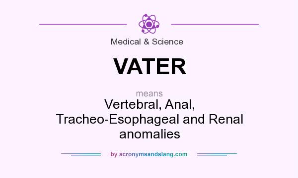 What does VATER mean? It stands for Vertebral, Anal, Tracheo-Esophageal and Renal anomalies