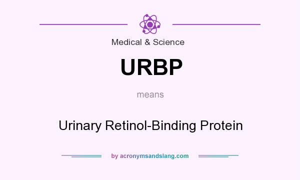 What does URBP mean? It stands for Urinary Retinol-Binding Protein