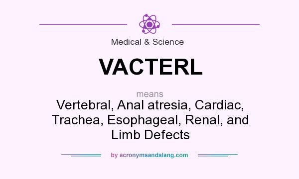 What does VACTERL mean? It stands for Vertebral, Anal atresia, Cardiac, Trachea, Esophageal, Renal, and Limb Defects
