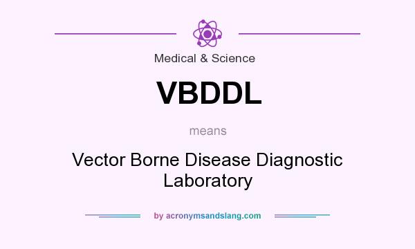 What does VBDDL mean? It stands for Vector Borne Disease Diagnostic Laboratory