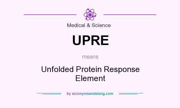 What does UPRE mean? It stands for Unfolded Protein Response Element