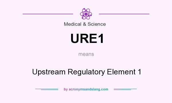 What does URE1 mean? It stands for Upstream Regulatory Element 1