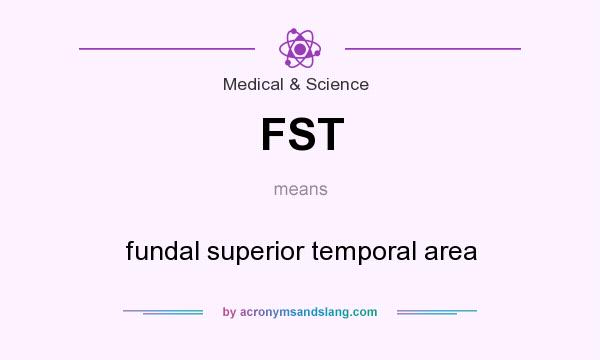 What does FST mean? It stands for fundal superior temporal area