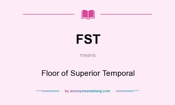 What does FST mean? It stands for Floor of Superior Temporal