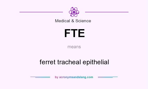What does FTE mean? It stands for ferret tracheal epithelial