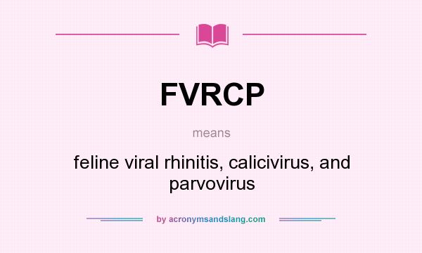 What does FVRCP mean? It stands for feline viral rhinitis, calicivirus, and parvovirus