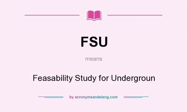 What does FSU mean? It stands for Feasability Study for Undergroun
