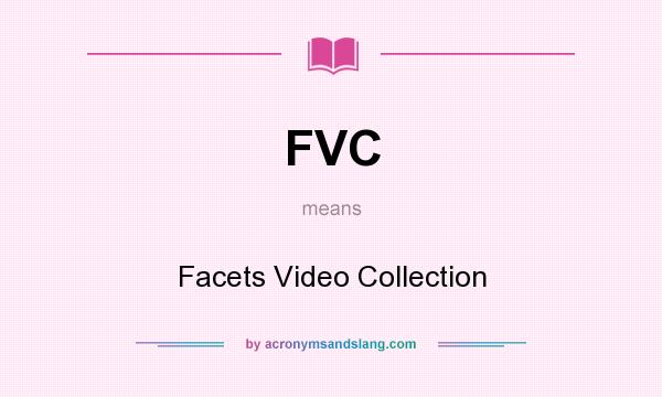 What does FVC mean? It stands for Facets Video Collection