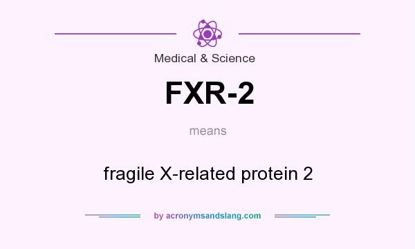 What does FXR-2 mean? It stands for fragile X-related protein 2