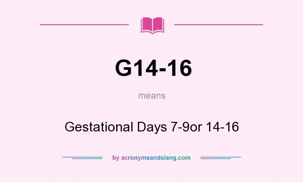 What does G14-16 mean? It stands for Gestational Days 7-9or 14-16