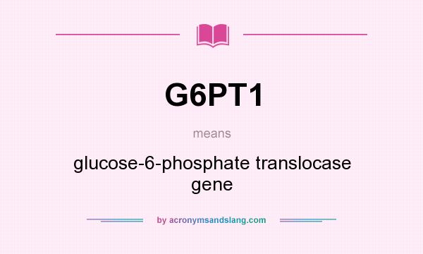 What does G6PT1 mean? It stands for glucose-6-phosphate translocase gene