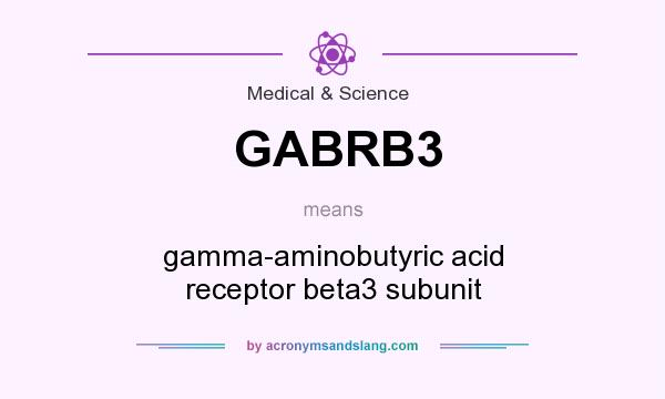 What does GABRB3 mean? It stands for gamma-aminobutyric acid receptor beta3 subunit