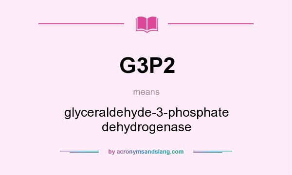 What does G3P2 mean? It stands for glyceraldehyde-3-phosphate dehydrogenase