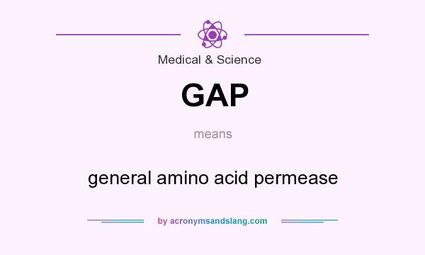 What does GAP mean? It stands for general amino acid permease