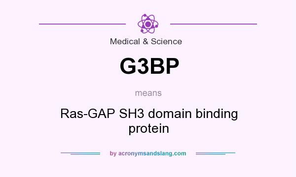 What does G3BP mean? It stands for Ras-GAP SH3 domain binding protein