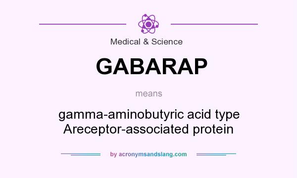 What does GABARAP mean? It stands for gamma-aminobutyric acid type Areceptor-associated protein