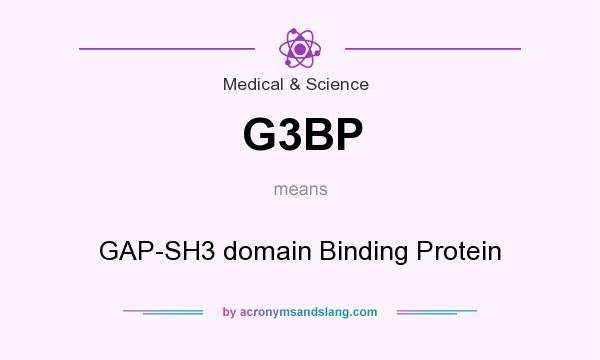 What does G3BP mean? It stands for GAP-SH3 domain Binding Protein