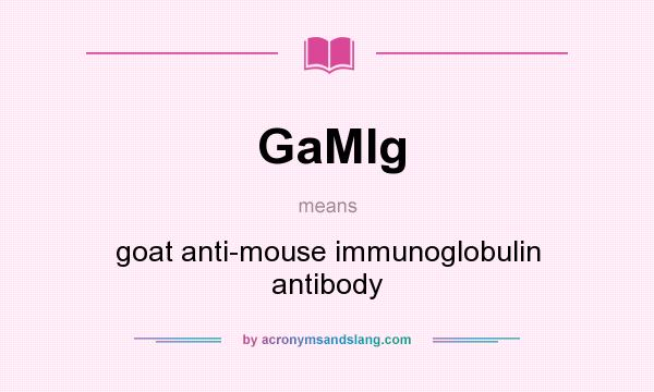 What does GaMIg mean? It stands for goat anti-mouse immunoglobulin antibody