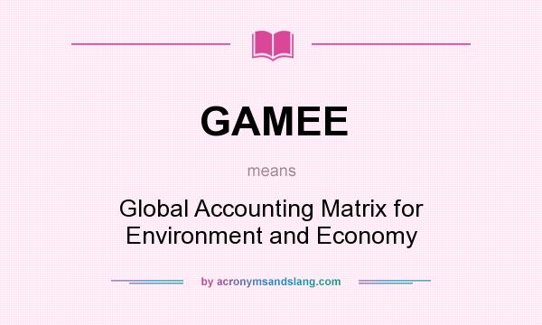 What does GAMEE mean? It stands for Global Accounting Matrix for Environment and Economy