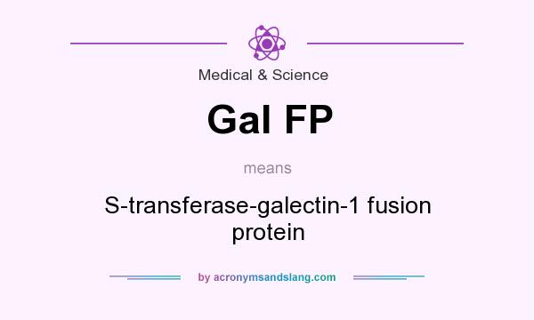 What does Gal FP mean? It stands for S-transferase-galectin-1 fusion protein