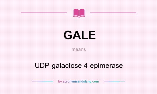 What does GALE mean? It stands for UDP-galactose 4-epimerase