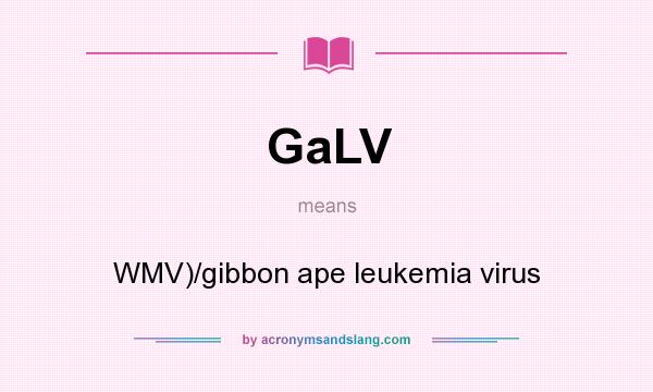 What does GaLV mean? It stands for WMV)/gibbon ape leukemia virus