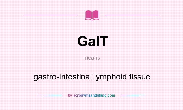 What does GalT mean? It stands for gastro-intestinal lymphoid tissue