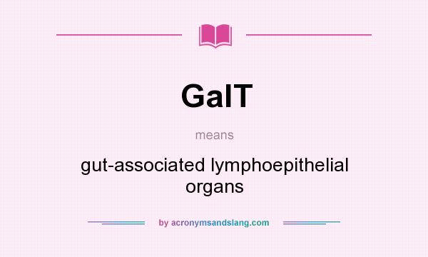 What does GalT mean? It stands for gut-associated lymphoepithelial organs