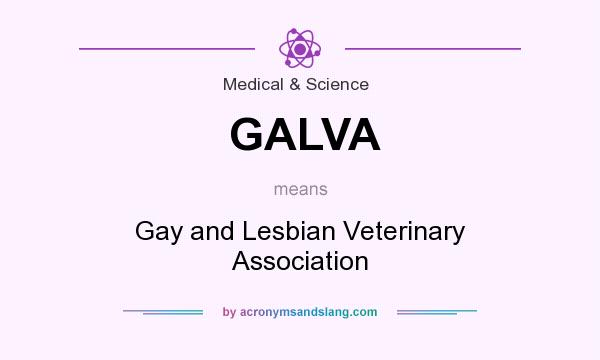 What does GALVA mean? It stands for Gay and Lesbian Veterinary Association