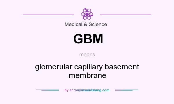 What does GBM mean? It stands for glomerular capillary basement membrane