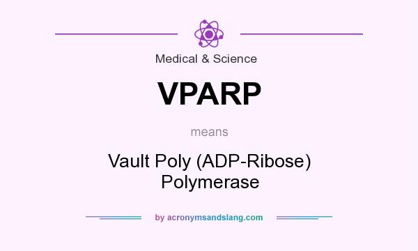 What does VPARP mean? It stands for Vault Poly (ADP-Ribose) Polymerase