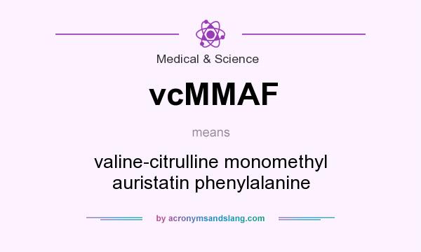 What does vcMMAF mean? It stands for valine-citrulline monomethyl auristatin phenylalanine