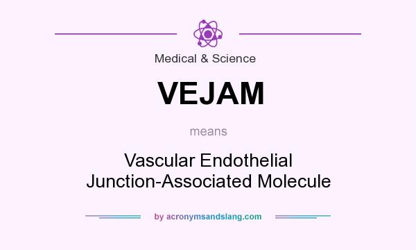 What does VEJAM mean? It stands for Vascular Endothelial Junction-Associated Molecule