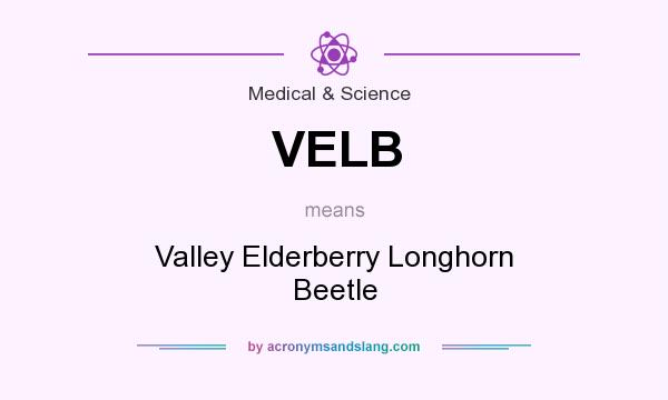 What does VELB mean? It stands for Valley Elderberry Longhorn Beetle