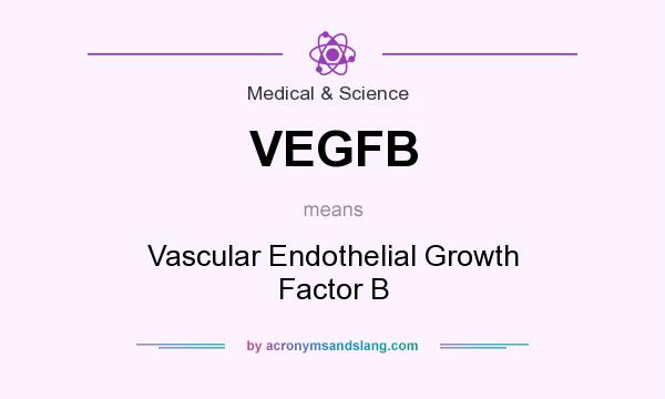 What does VEGFB mean? It stands for Vascular Endothelial Growth Factor B