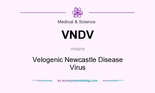 What does VNDV mean? It stands for Velogenic Newcastle Disease Virus